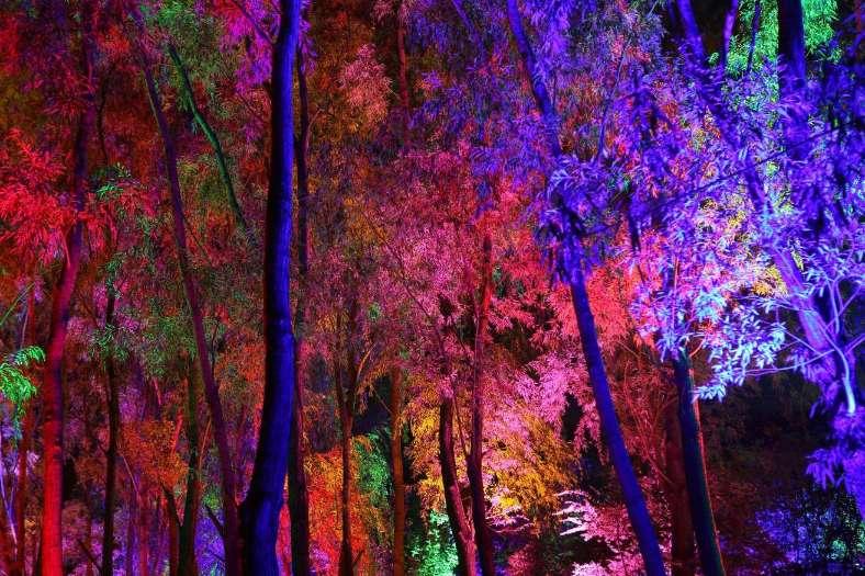 探索酸奶放冰箱里过了保质期还能喝吗 |加入知识星球平台