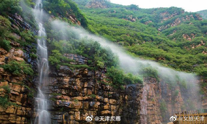 【委员风采】省政协委员孙阳：多措并举推进福建省高发肿瘤筛查工作