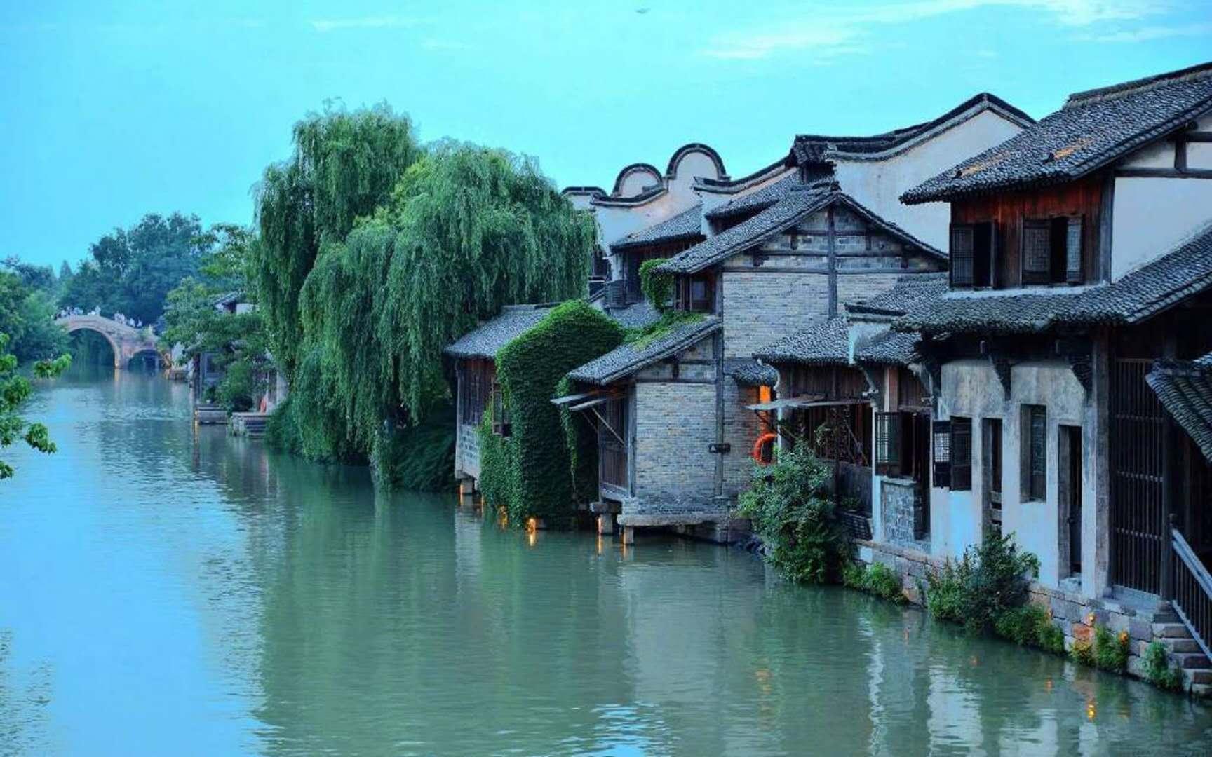 植物大战僵尸4