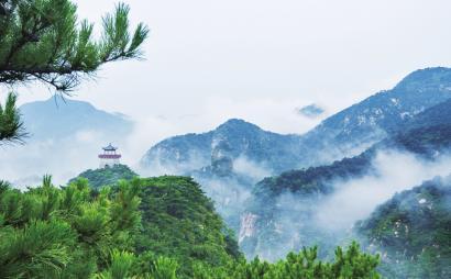 知识星球平台爱一个人是什么感觉??,专注知识分享与交流